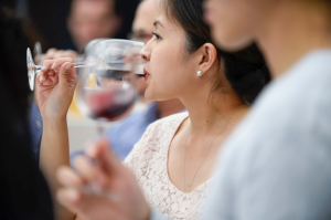 cité du vin bordeaux